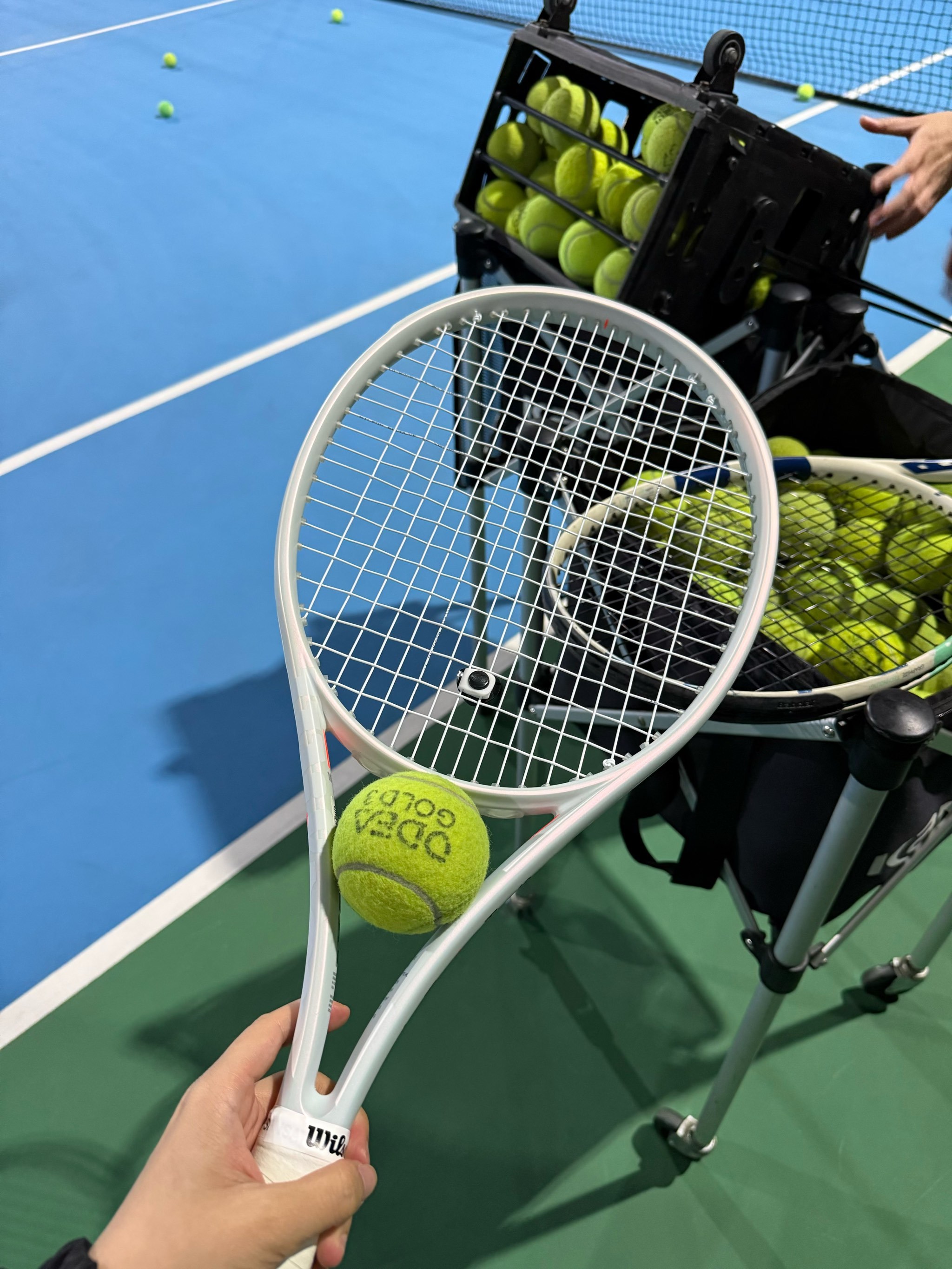 其黑马的跑 其黑马的跑