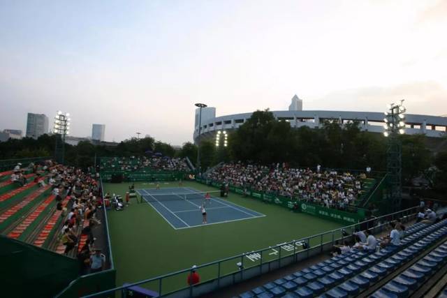 了顽强的拼 了顽强的拼