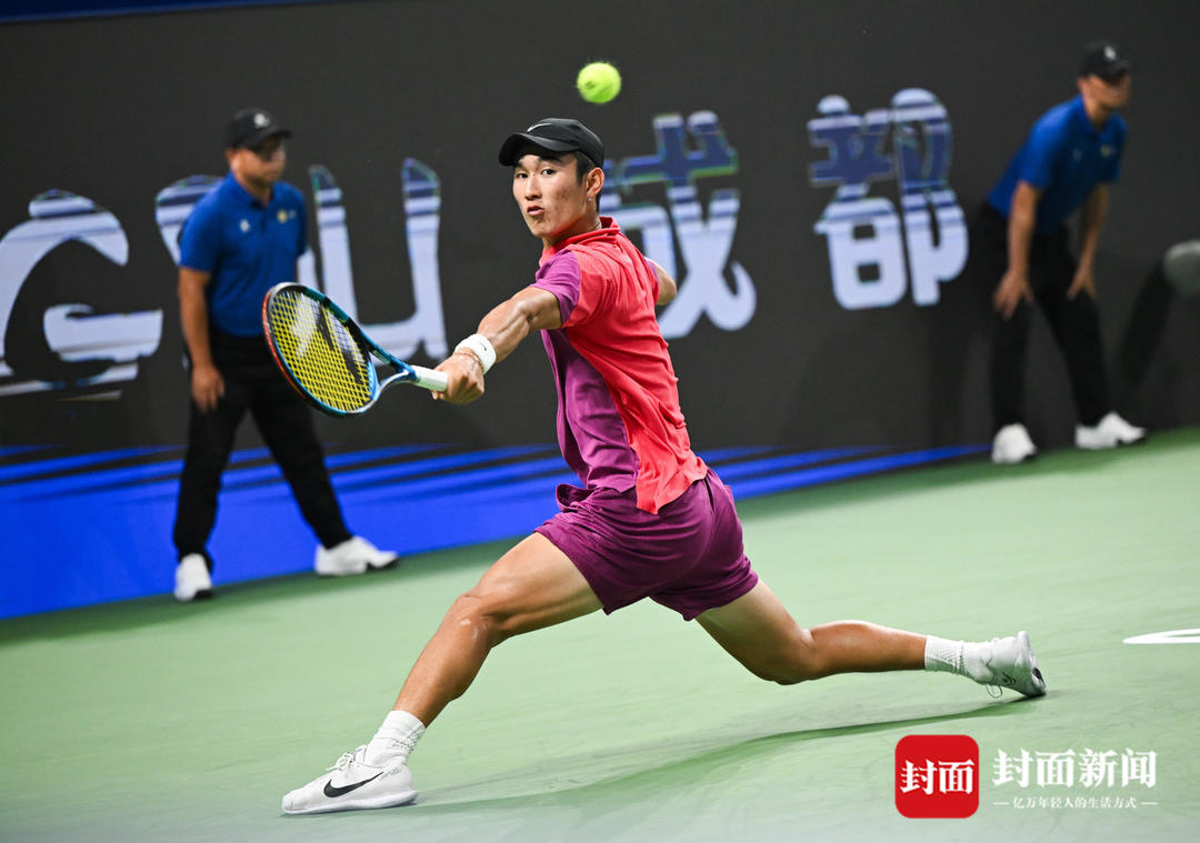 药巨头的案 药巨头的案