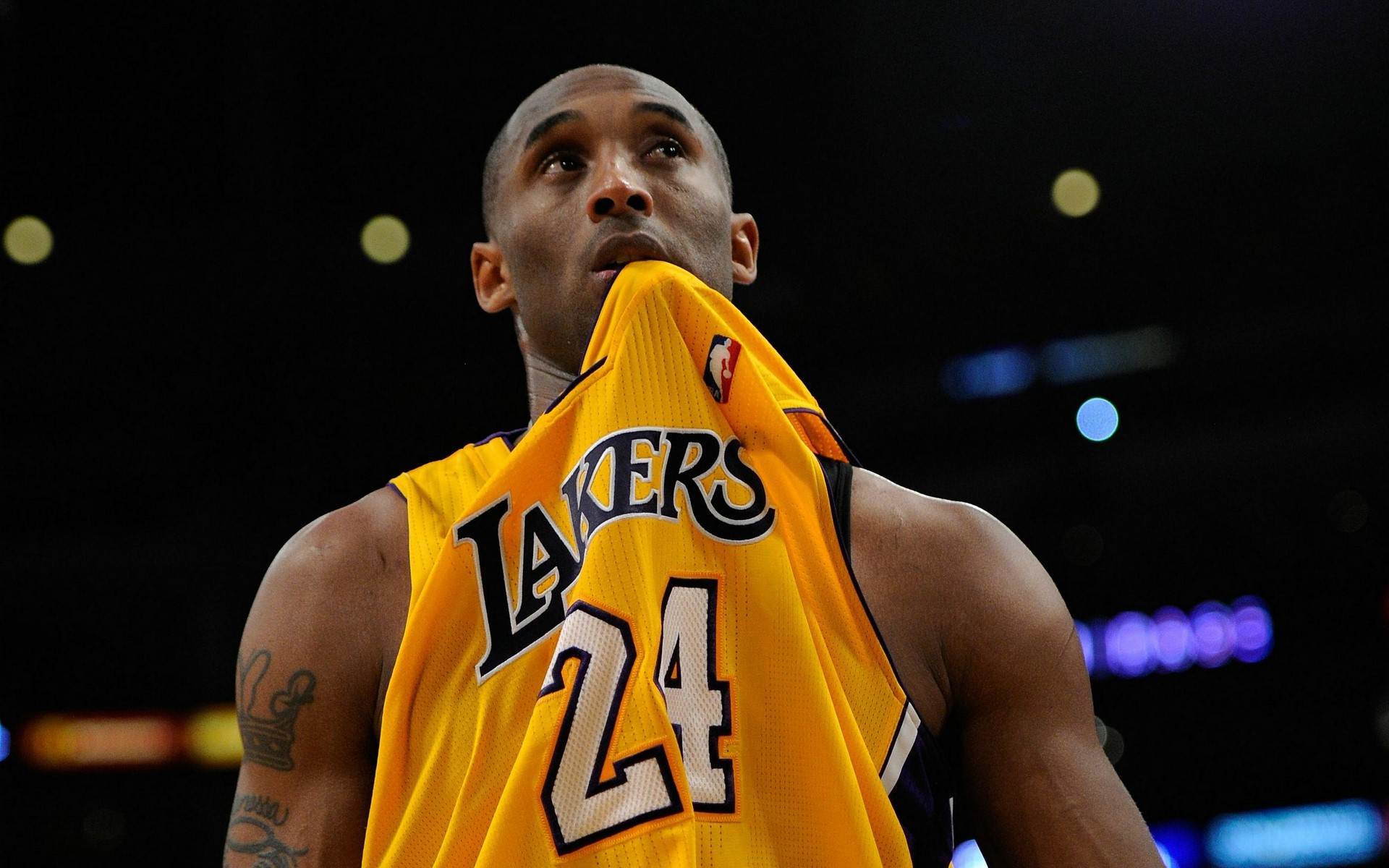 了解荷甲对 了解荷甲对